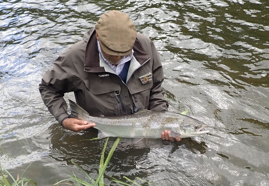 Phil Batty took his turn at the Rectory's Rock Pool on 27 June and landed this 14lb fresh fish