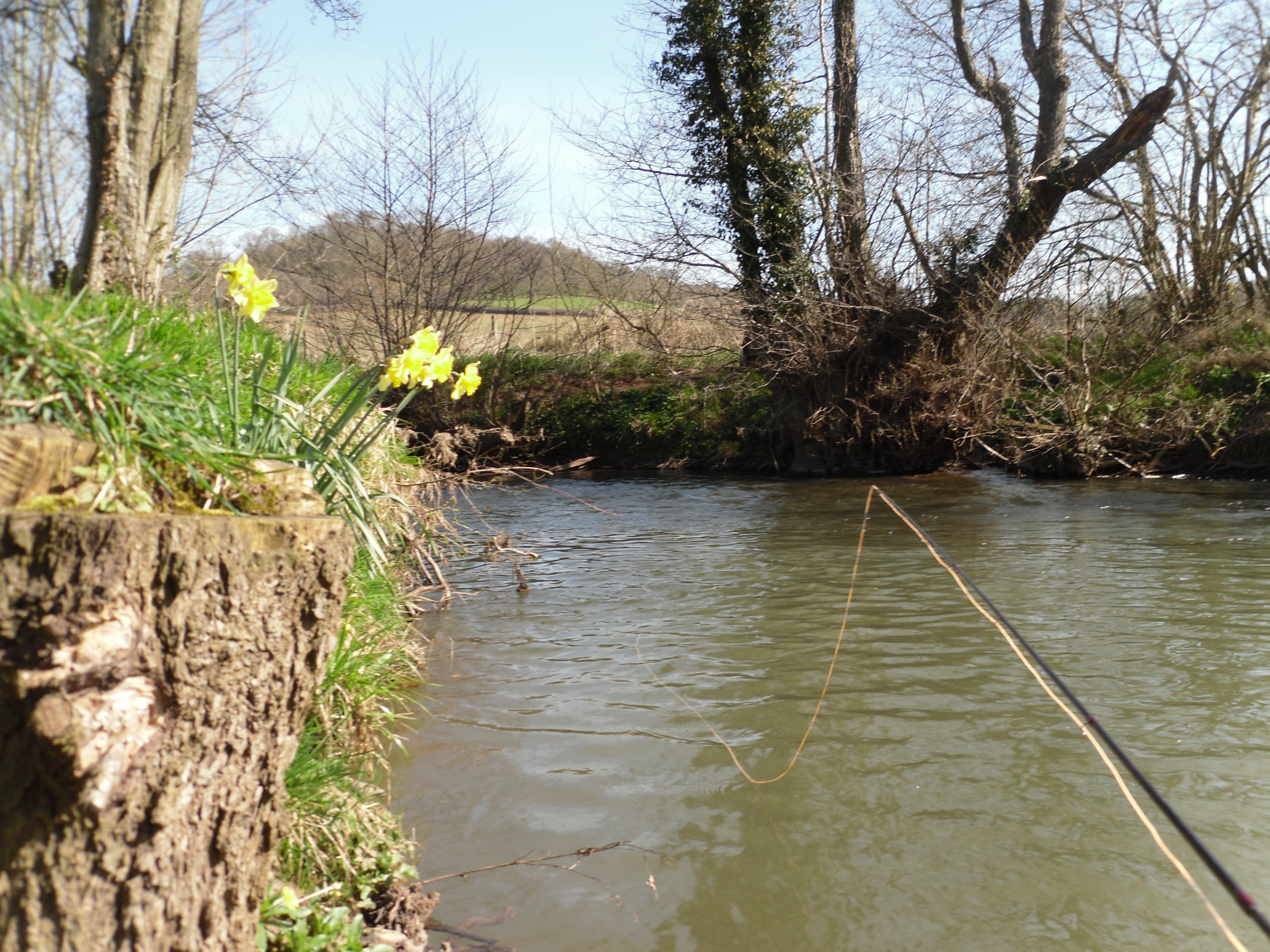 Fishing at Abbeydore Court