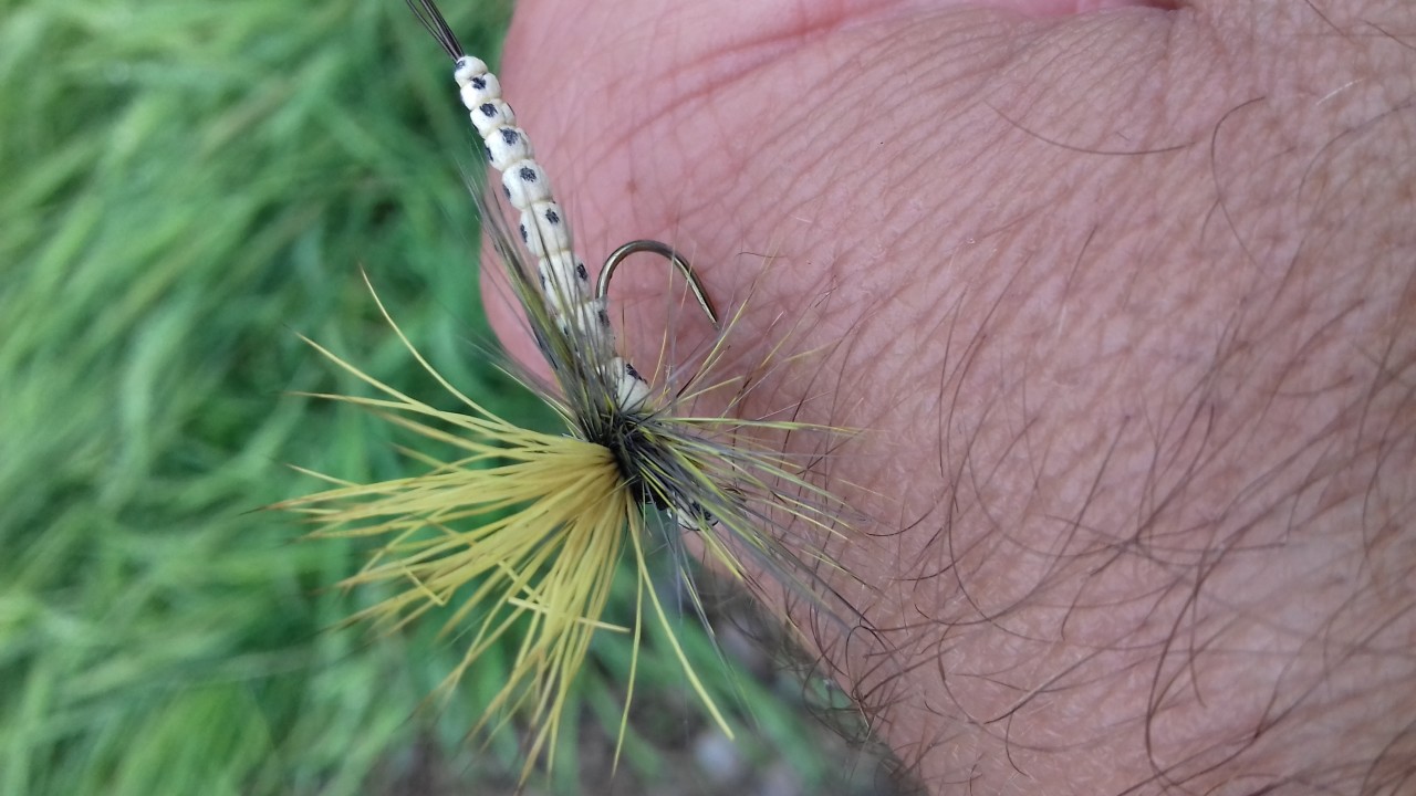 Sage ESN Nymph Fly Reel - Ex-Display