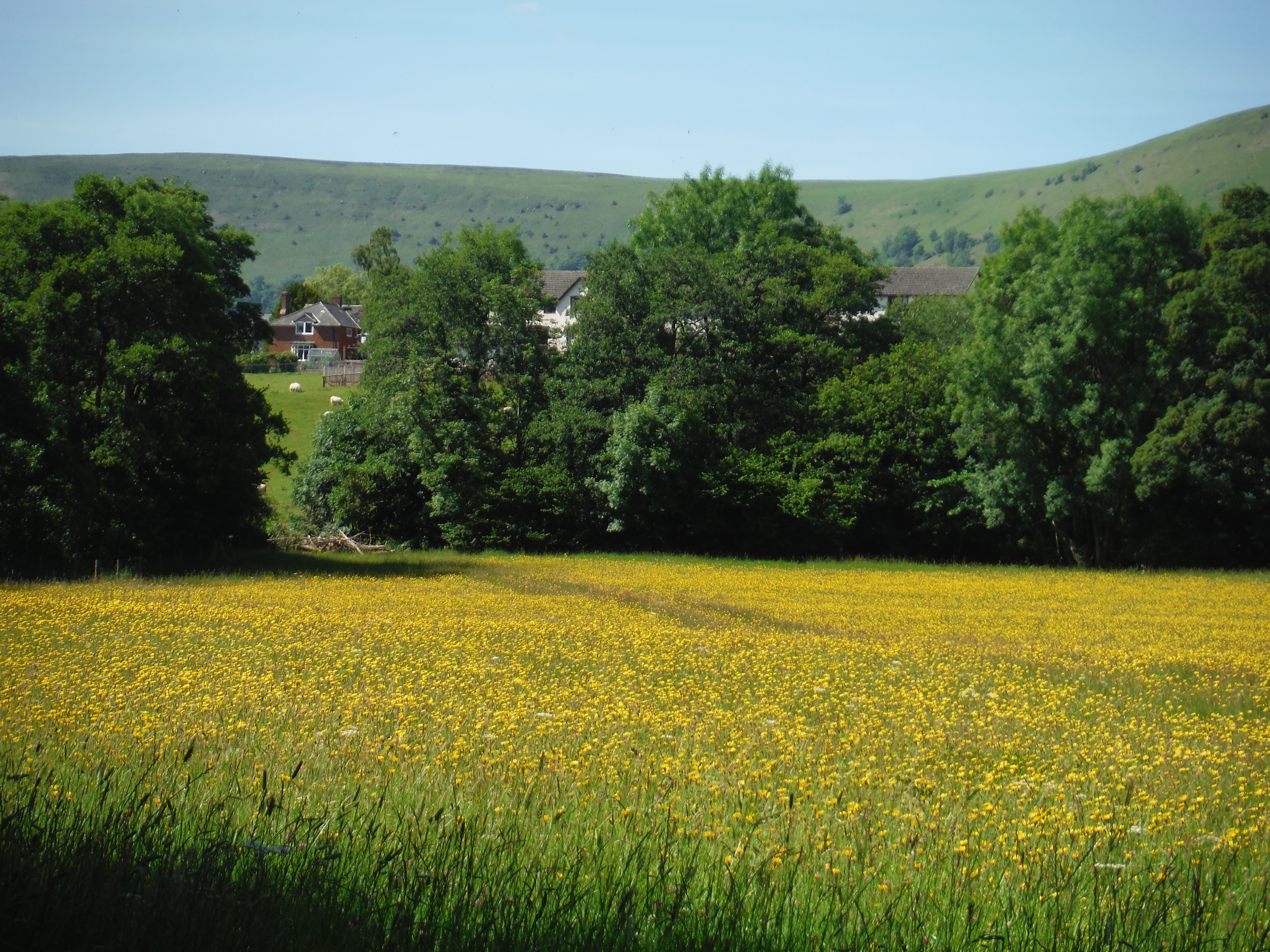 Valley of the Upper Monnow