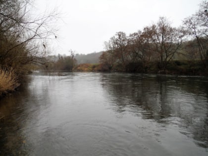 Dog Hole at Goodrich Court with the water just right