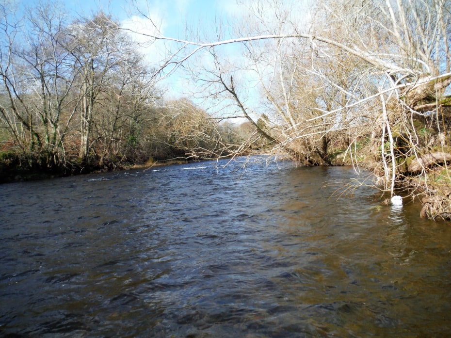 Spring on the Usk