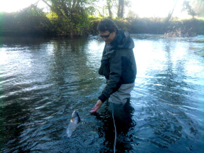 A good winter grayling comes to hand on the Eyton beat of the river Lugg