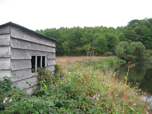 A derelict fishing hut on the Herefordshire Wye - no anglers, no fishery investment.