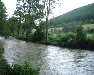 Coppicing and revetment work on the Lugg at Upper Lye, part of the 6km of habitat improvement completed in RES