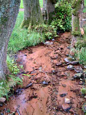 A Wye tributary smothered by sedimentation