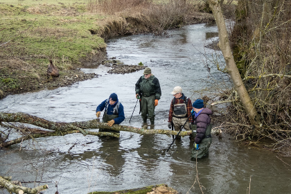 Wild Stream volunteers at work on the upper river Lugg.