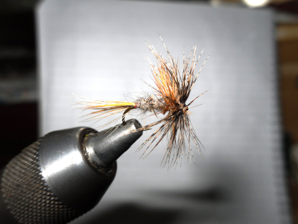 Procter's Stuck Shuck Compara May S10, Dry Flies