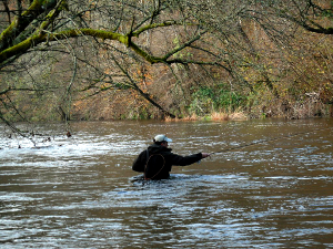 Fishing the Irfon at Cefnllysgwynne