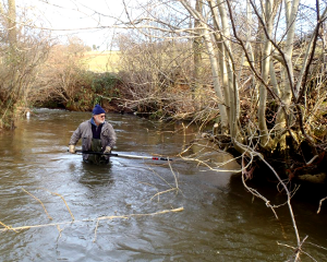 Oliver giving one of the Wild Stream beats a winter trim.