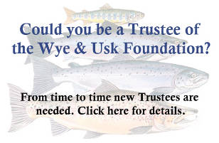 Could you be a Trustee of the Wye & Usk Foundation?