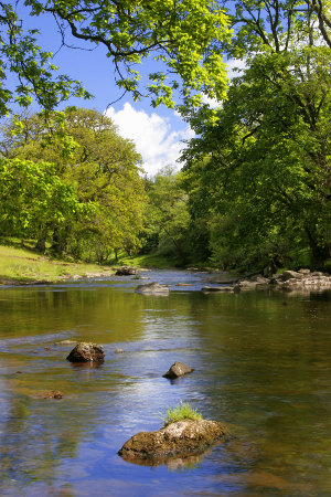 The Usk upstream of Brecon