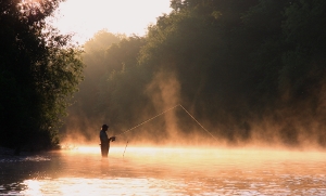 Fishing the middle Wye at dawn on the first morning of the coarse fishing season(June 16th)