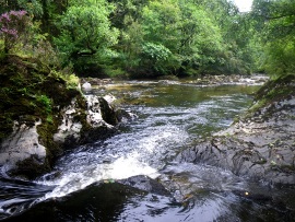 The upper reaches of the Irfon upstream of Llanwrtyd Wells.
