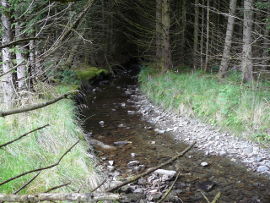 The Cerdin, an Irfon tributary affected by overshading.