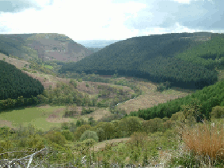 The upper Irfon valley, just upstream of Abergwesyn.