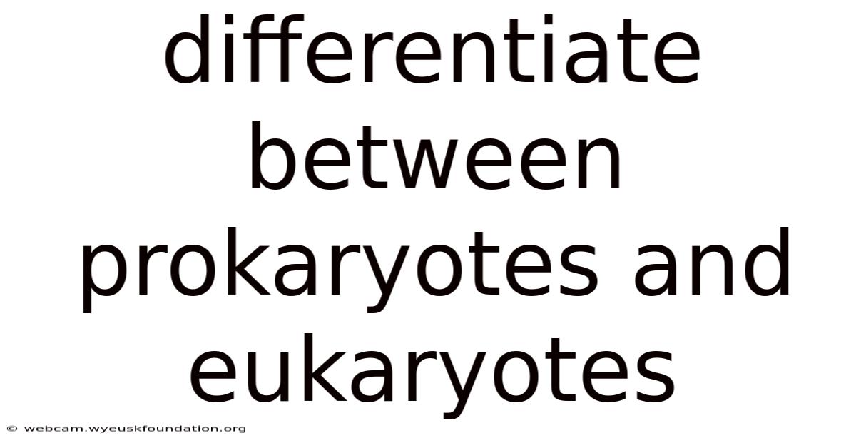 Differentiate Between Prokaryotes And Eukaryotes