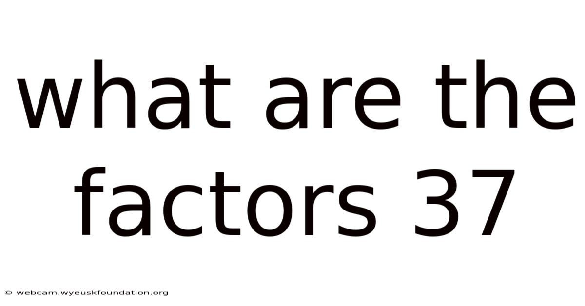 What Are The Factors 37